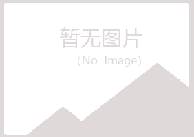 于田县盼山会计有限公司